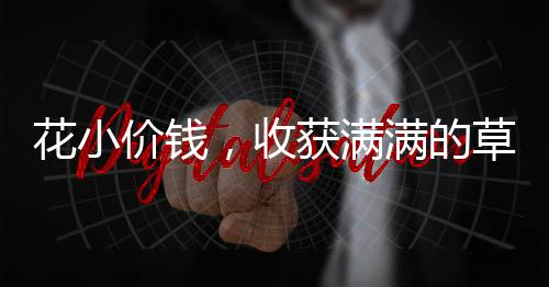 花小價(jià)錢，收獲滿滿的草莓，僅需花費(fèi)六十多元購(gòu)買三十斤新鮮草莓，帶你領(lǐng)略水果之王的魅力
