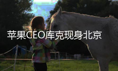蘋(píng)果CEO庫(kù)克現(xiàn)身北京，登景山公園領(lǐng)略古都魅力