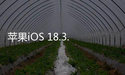 蘋(píng)果iOS 18.3.1正式版發(fā)布 修復(fù)重大漏洞