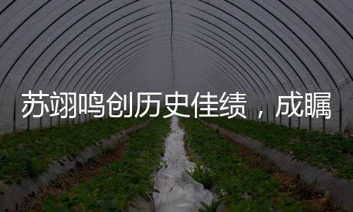 蘇翊鳴創(chuàng)歷史佳績，成矚目焦點