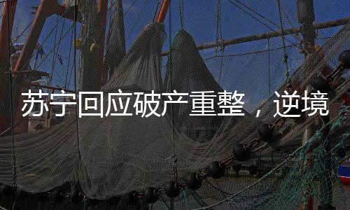 蘇寧回應破產(chǎn)重整，逆境中的重生與轉(zhuǎn)型之路