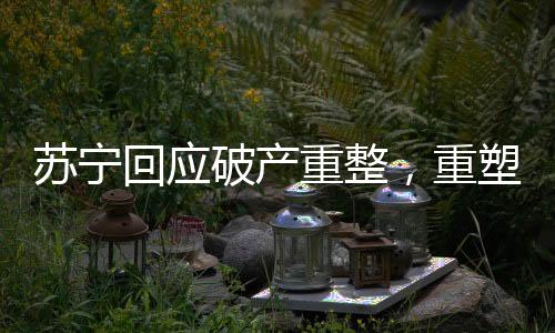 蘇寧回應(yīng)破產(chǎn)重整，重塑輝煌的戰(zhàn)略調(diào)整與未來(lái)發(fā)展動(dòng)向