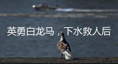 英勇白龍馬，下水救人后的病情波折