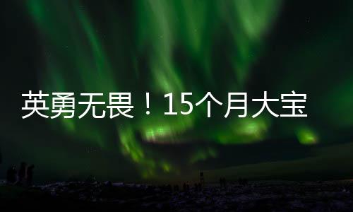 英勇無畏！15個月大寶寶滾爬救媽