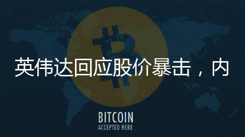英偉達(dá)回應(yīng)股價暴擊，內(nèi)部分析與市場洞察