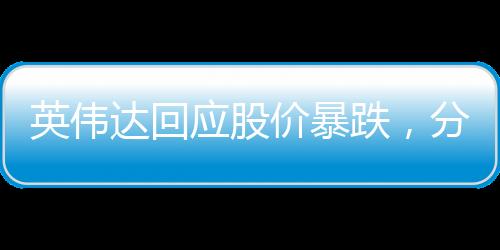 英偉達(dá)回應(yīng)股價(jià)暴跌，分析與展望