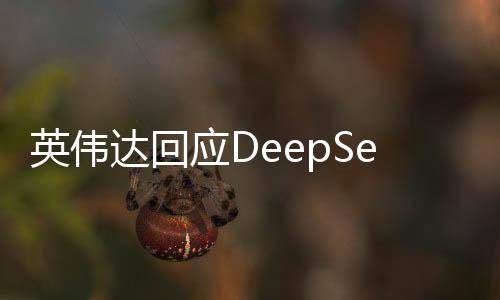 英偉達(dá)回應(yīng)DeepSeek模型，揭秘技術(shù)與未來的探討