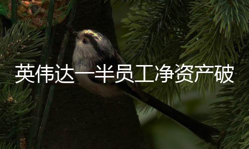 英偉達一半員工凈資產破億，科技創(chuàng)新與員工福利共成長的標桿企業(yè)新聞報道