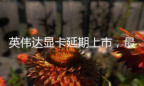 英偉達(dá)顯卡延期上市，最新動(dòng)態(tài)與技術(shù)展望