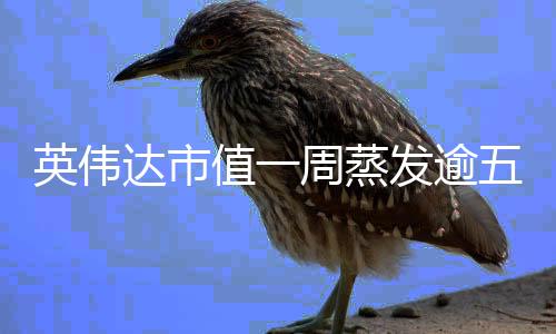 英偉達(dá)市值一周蒸發(fā)逾五千億美元，業(yè)內(nèi)震驚分析背后原因及影響深遠(yuǎn)性新聞