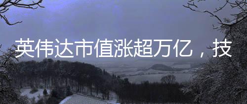 英偉達(dá)市值漲超萬(wàn)億，技術(shù)巨頭的崛起與未來(lái)展望