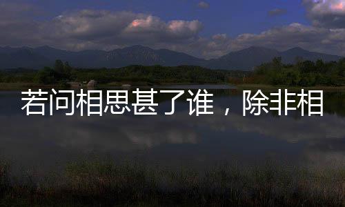 若問相思甚了誰，除非相見時