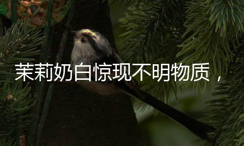 茉莉奶白驚現(xiàn)不明物質，消費者飲出塑料袋，事件引發(fā)關注