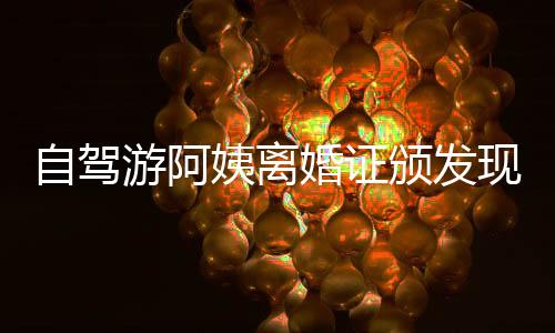 自駕游阿姨離婚證頒發(fā)現(xiàn)場，笑容背后的故事引人深思