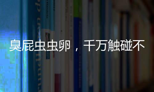 臭屁蟲蟲卵，千萬觸碰不得！危險(xiǎn)就在我們身邊的一二三……八項(xiàng)關(guān)鍵提示