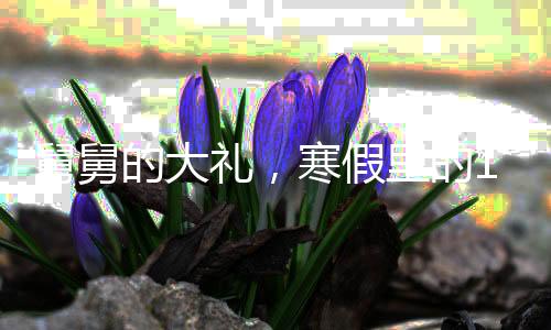 舅舅的大禮，寒假里的16個(gè)外甥與三頭豬的溫馨故事