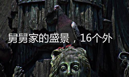 舅舅家的盛景，16個(gè)外甥齊聚一堂