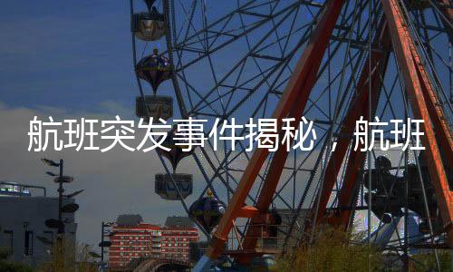 航班突發(fā)事件揭秘，航班上12個(gè)廁所堵塞11個(gè)的驚人情況