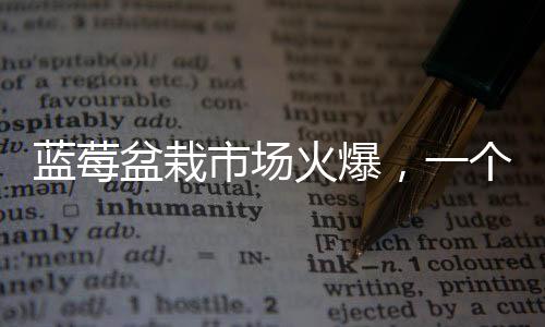 藍(lán)莓盆栽市場(chǎng)火爆，一個(gè)月成交超百萬(wàn)盆——探究盆栽熱潮背后的動(dòng)因