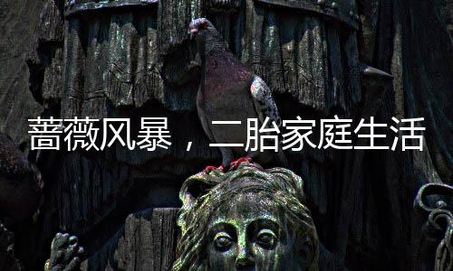 薔薇風(fēng)暴，二胎家庭生活真實(shí)寫照