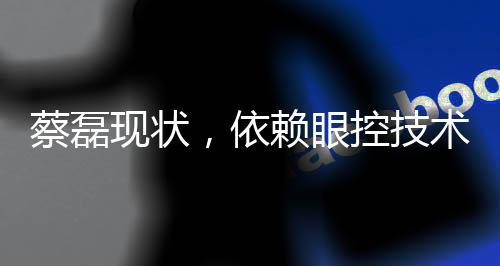 蔡磊現(xiàn)狀，依賴眼控技術(shù)交流