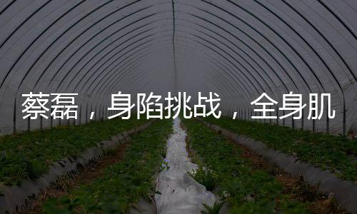 蔡磊，身陷挑戰(zhàn)，全身肌肉銳減引發(fā)關(guān)注——解讀一個普通背后的不平凡故事
