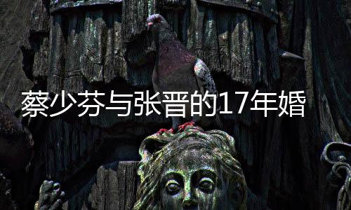 蔡少芬與張晉的17年婚姻，愛情長(zhǎng)跑背后的堅(jiān)守與幸福