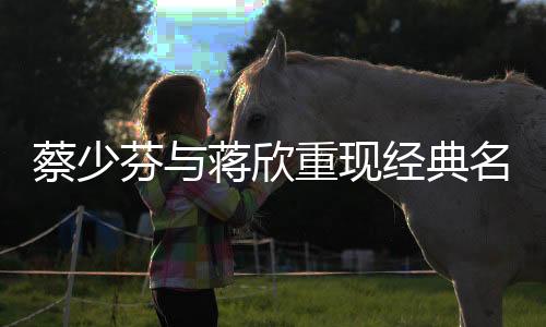 蔡少芬與蔣欣重現(xiàn)經(jīng)典名場(chǎng)面，演繹傳奇友誼之橋
