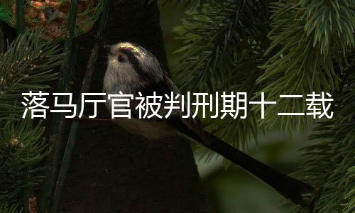 落馬廳官被判刑期十二載，私藏三百六十九發(fā)子彈背后的故事
