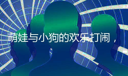 萌娃與小狗的歡樂(lè)打鬧，狗爸爸化身和事佬，和諧家庭展現(xiàn)溫馨一幕