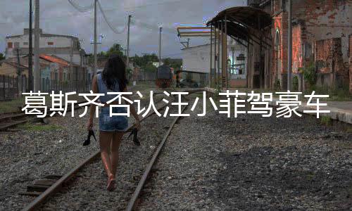 葛斯齊否認(rèn)汪小菲駕豪車赴S家哀悼，真相背后的復(fù)雜情感糾葛