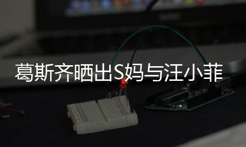 葛斯齊曬出S媽與汪小菲聊天截圖，揭露糾葛的細(xì)節(jié)？一出震撼娛樂圈的大戲上演