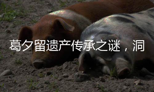 葛夕留遺產(chǎn)傳承之謎，洞悉數(shù)億資產(chǎn)的分割之路