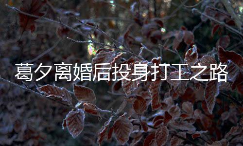 葛夕離婚后投身打工之路，在留幾手嶄露頭角的新篇章