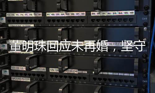 董明珠回應未再婚，堅守獨立信念，聚焦事業(yè)發(fā)展