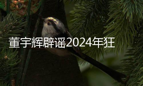 董宇輝辟謠2024年狂賺28億，揭開真相的多個維度