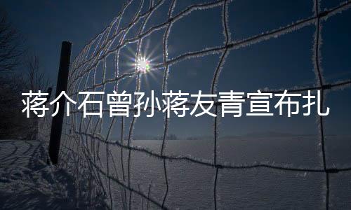 蔣介石曾孫蔣友青宣布扎根杭州，歷史與現(xiàn)代的交融