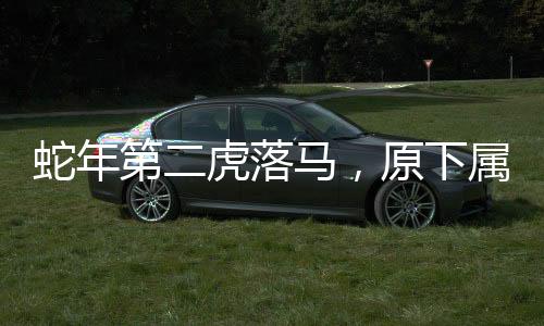 蛇年第二虎落馬，原下屬多人被查——揭示內(nèi)部腐敗的冰山一角