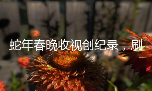 蛇年春晚收視創(chuàng)紀錄，刷新歷史，成為全民盛宴