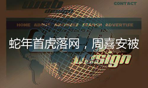 蛇年首虎落網(wǎng)，周喜安被查事件引關(guān)注