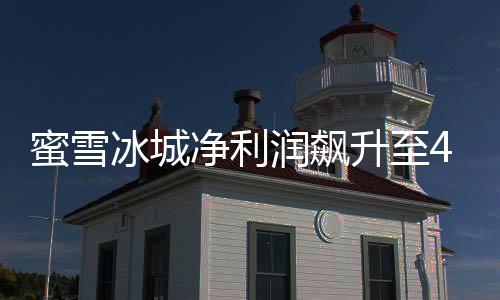 蜜雪冰城凈利潤(rùn)飆升至44.5億，業(yè)績(jī)斐然引領(lǐng)行業(yè)新風(fēng)向