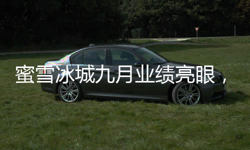 蜜雪冰城九月業(yè)績亮眼，盈利達35億——行業(yè)巨頭持續(xù)領跑市場