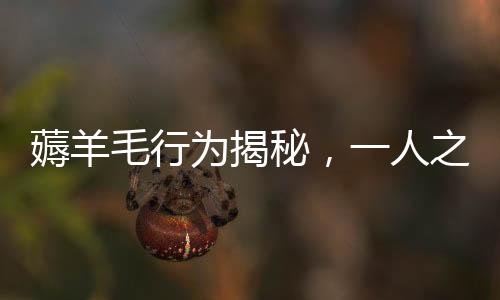薅羊毛行為揭秘，一人之力，薅出200多萬(wàn)運(yùn)費(fèi)險(xiǎn)