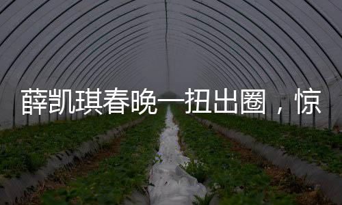 薛凱琪春晚一扭出圈，驚艷表演引發(fā)全民熱議