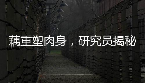 藕重塑肉身，研究員揭秘生命新奇跡