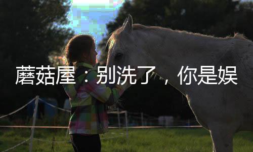蘑菇屋：別洗了，你是娛樂老大哥