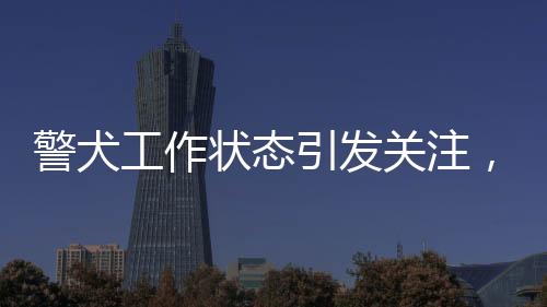 警犬工作狀態(tài)引發(fā)關(guān)注，上班時(shí)表現(xiàn)死氣沉沉，隨處尿尿引發(fā)討論