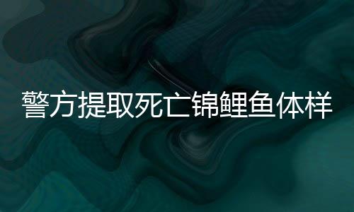 警方提取死亡錦鯉魚體樣本送檢，揭開離奇死亡事件真相