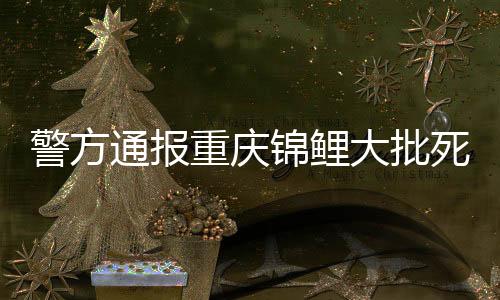 警方通報(bào)重慶錦鯉大批死亡事件，人為投毒