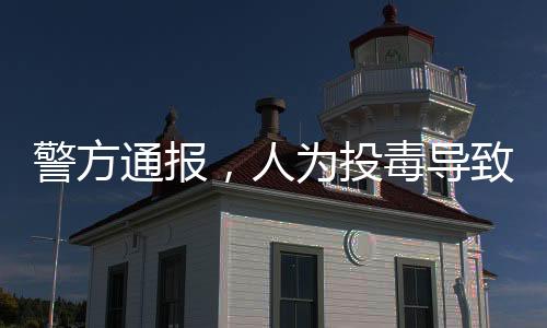 警方通報(bào)，人為投毒導(dǎo)致錦鯉大批死亡